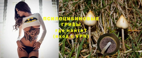 мдпв Приозерск