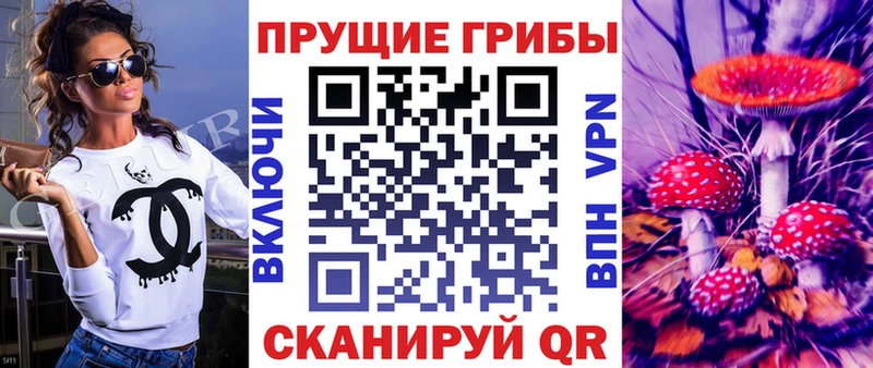 как найти закладки  Ардатов  гидра сайт  Галлюциногенные грибы Magic Shrooms 